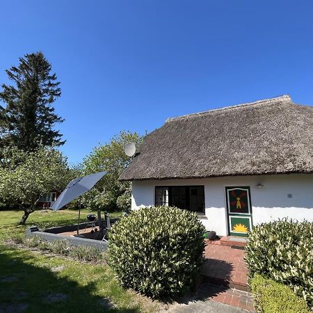 Ferienhaus Ilva In Born Villa Exteriör bild
