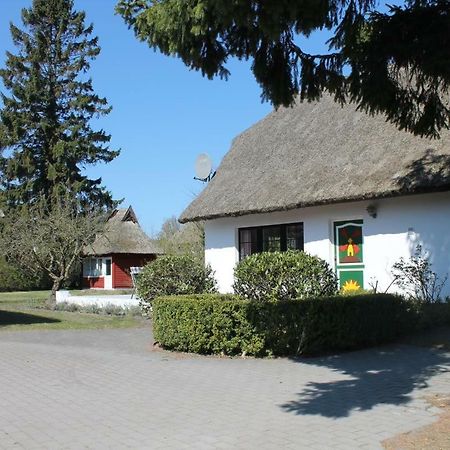 Ferienhaus Ilva In Born Villa Exteriör bild