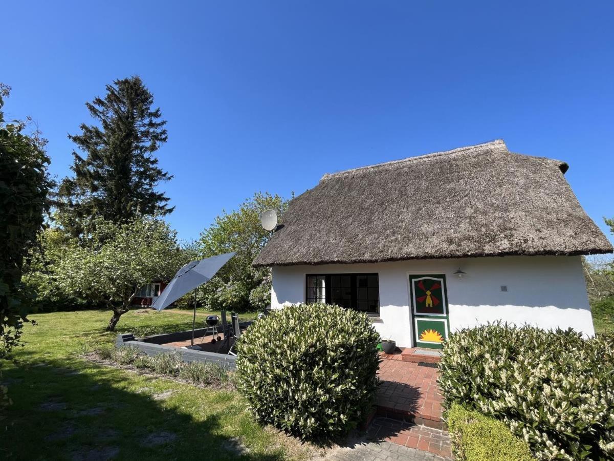 Ferienhaus Ilva In Born Villa Exteriör bild