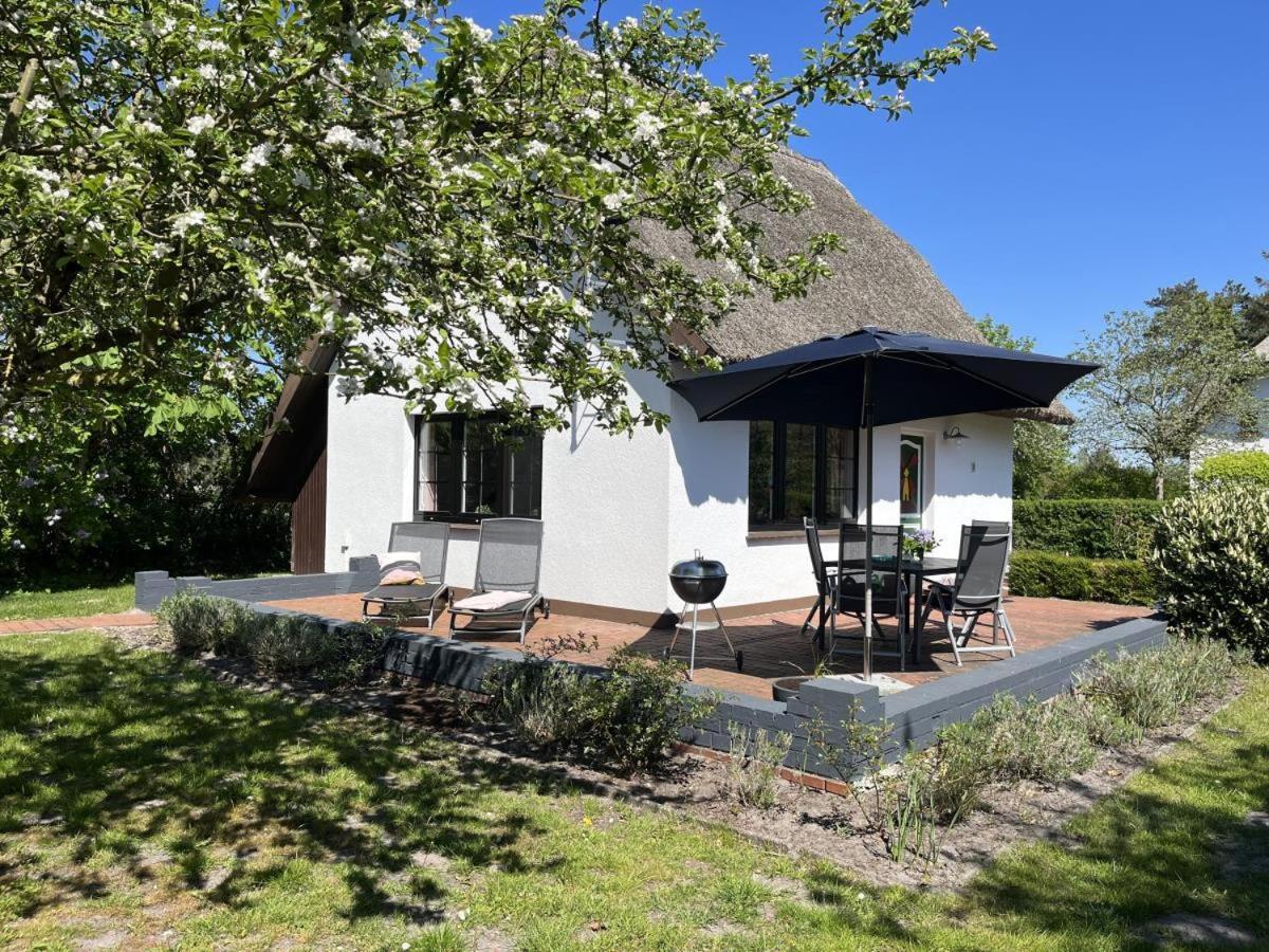 Ferienhaus Ilva In Born Villa Exteriör bild